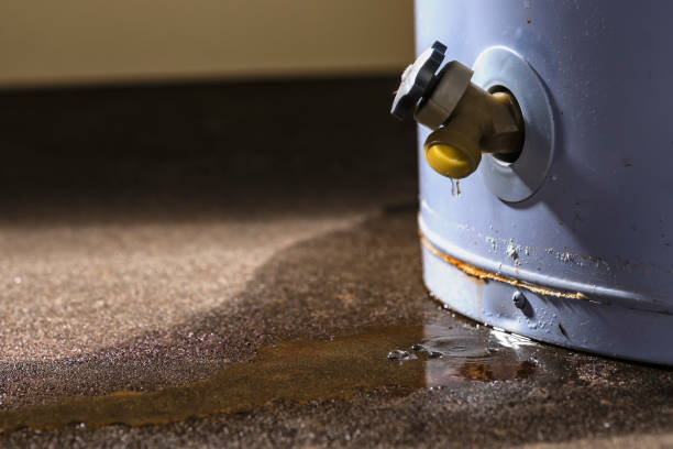 Best Ceiling water damage repair  in Albany, CA