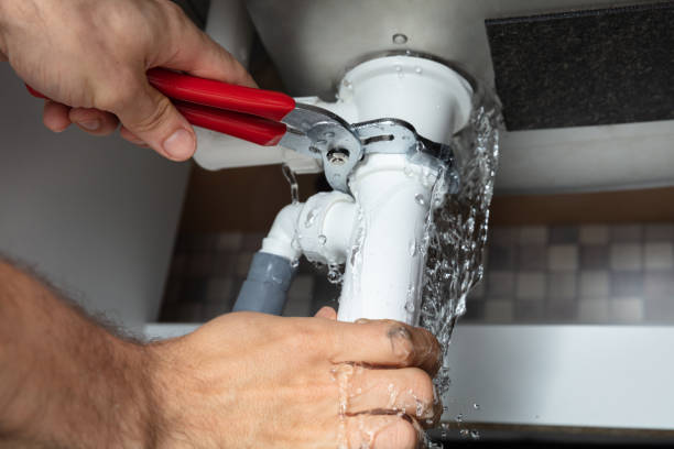 Best Water damage cleanup near me  in Albany, CA