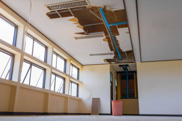 Best Basement water damage restoration  in Albany, CA