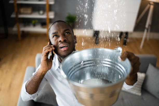 Best Water damage contractors near me  in Albany, CA