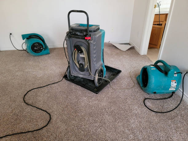 Carpet water damage restoration in Albany, CA