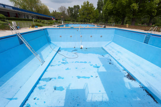 Best Professional water damage repair  in Albany, CA