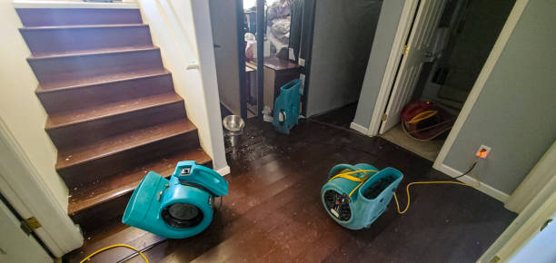 Best Fire Damage Restoration  in Albany, CA
