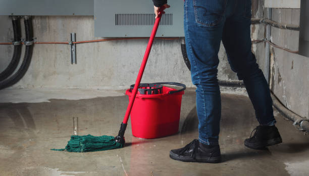 Best Emergency water damage restoration  in Albany, CA