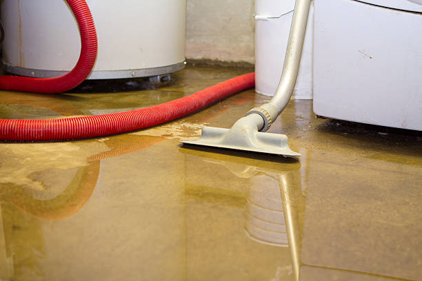 Best Water damage restoration near me  in Albany, CA