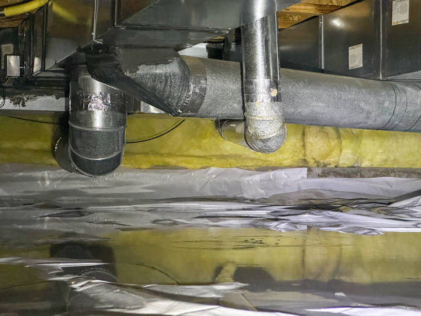 Best Flooded house restoration  in Albany, CA