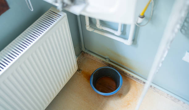 Best Basement water damage restoration  in Albany, CA