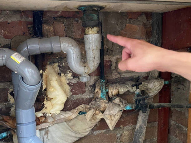 Best Flood restoration services  in Albany, CA