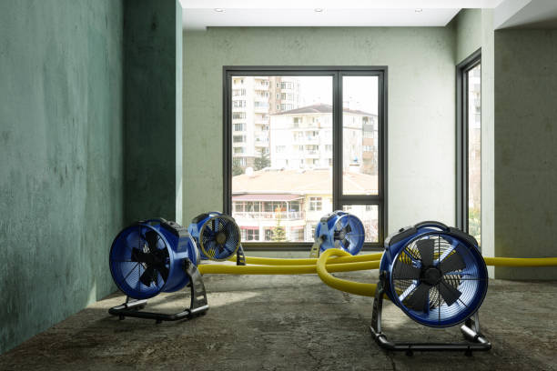 Best Ceiling water damage repair  in Albany, CA