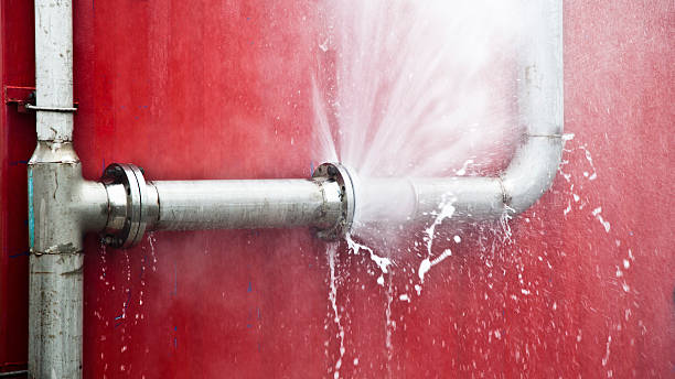 Best Water damage restoration near me  in Albany, CA
